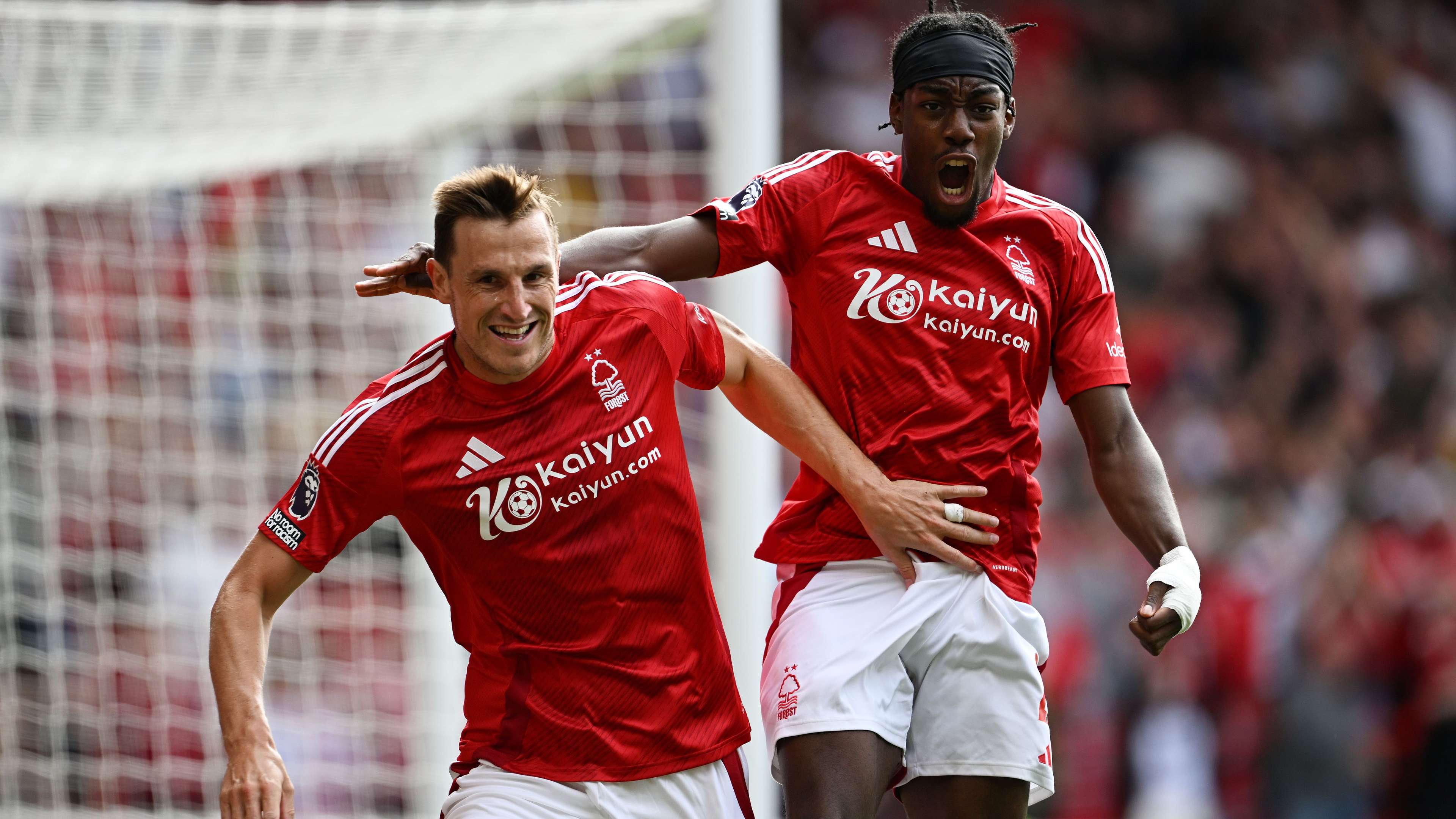 己的分析 己的分析